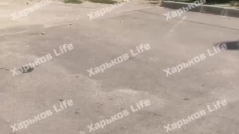 Ukrainians are Beaten and Dragged to the Front Like Cattle