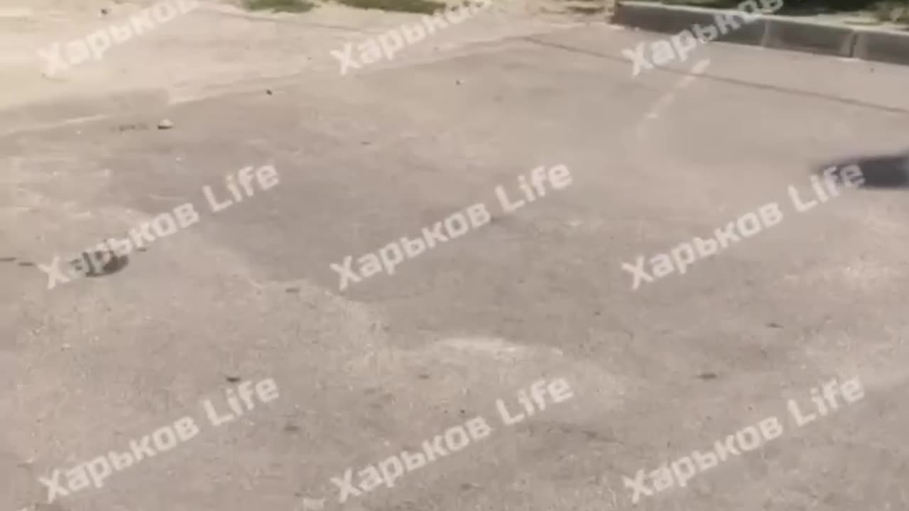 Ukrainians are Beaten and Dragged to the Front Like Cattle