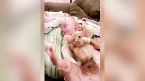 Baby funny video with cat