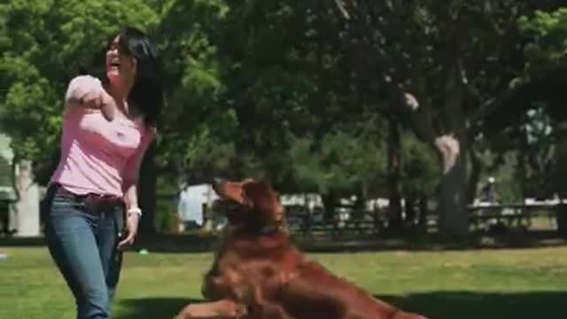 Cute Dog Training viral Video