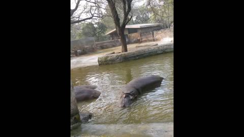 Zoo. India, Delhi. 23 Feb Dec 2019