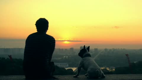 Dog enjoying the sunset with his bestfriend.