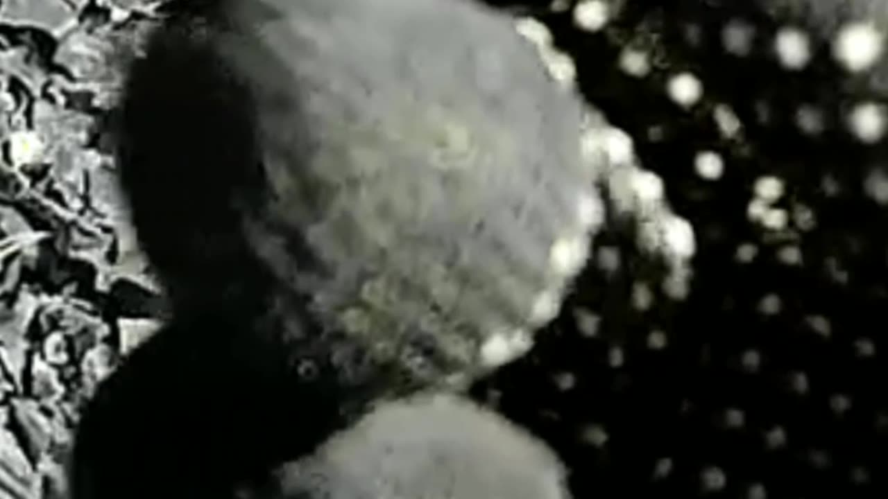 Shooters Spot of Massive Ammo Dump