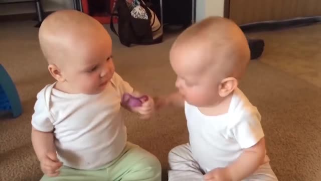 Best Videos Of Cute and Funny Twin Babies