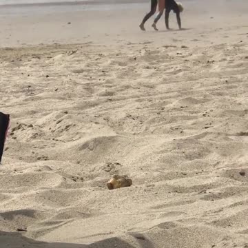 Blonde man hops and does push ups