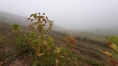 VIEWS FROM THE PLATEAU-57