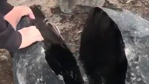 An enormous obsidian stone split in half.