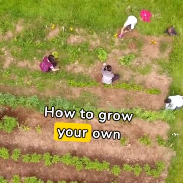 School failed to teach us the most important thing!!!