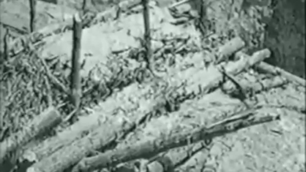 American Training Film on Infantry Weapons during WW2