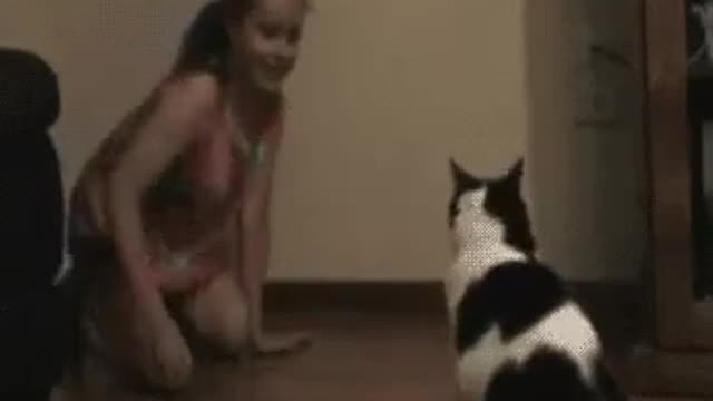 Kid vs. Cat