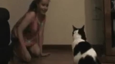 Kid vs. Cat