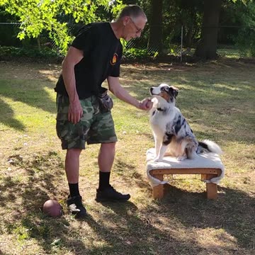 Structured Play Games Training and Practice 2c