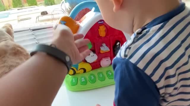 Cute Baby Playing with His Toys and Cat