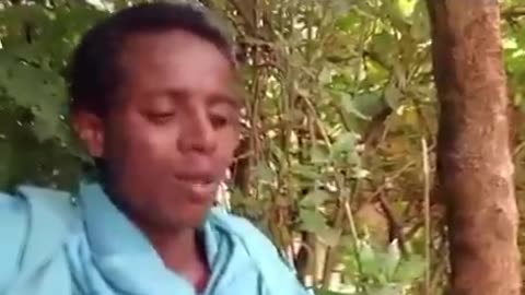 Amhara Genocide