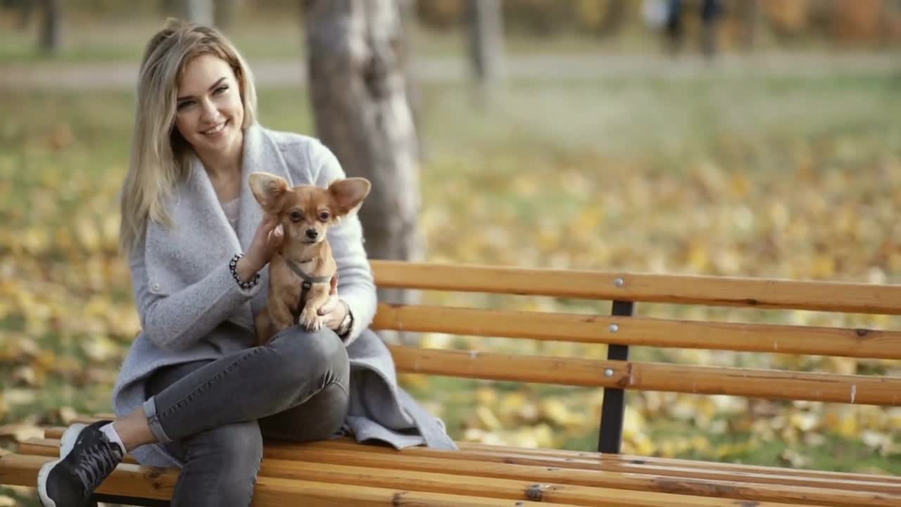 young beautiful Woman in the park with her funny long haired chihuahua dog. Autumn background