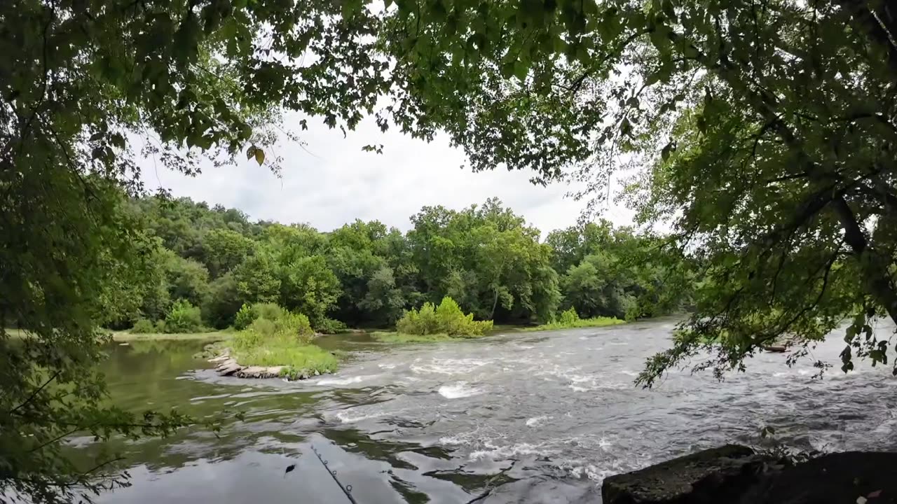 Monocacy Smalmouth Somewhere 9.1.2024