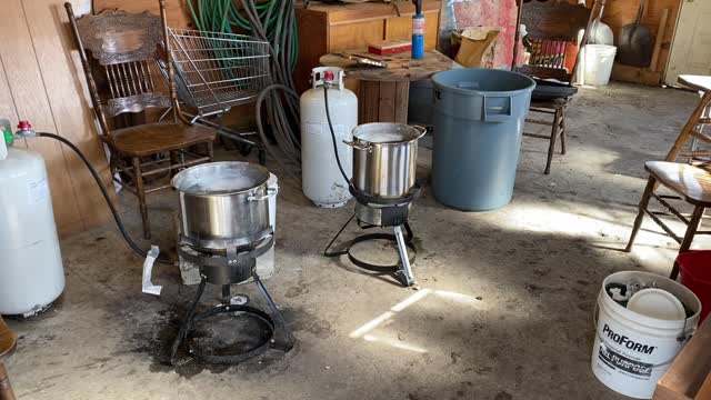 Maple syrup production