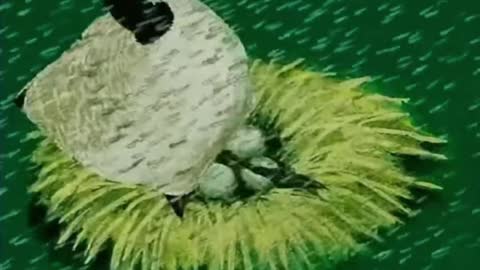 Goose, warm and inspiring story.