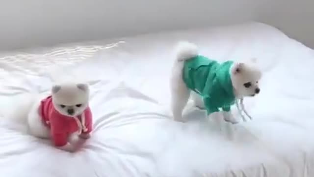 Both are ready for RACE ? Join them