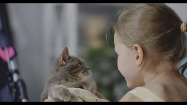 Close up shot of girl holding and kissing a cat