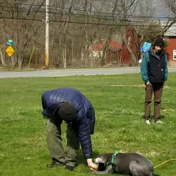 River and the verbal cue