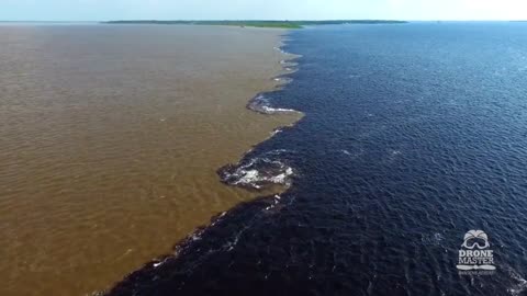 Meeting of the waters Rio Negro and Solimões Amazonas Brazil