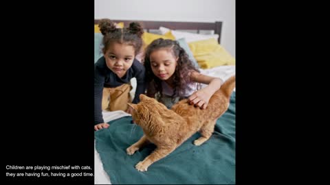 Kids are playing mischievous with cats-MayaFunnyVideo