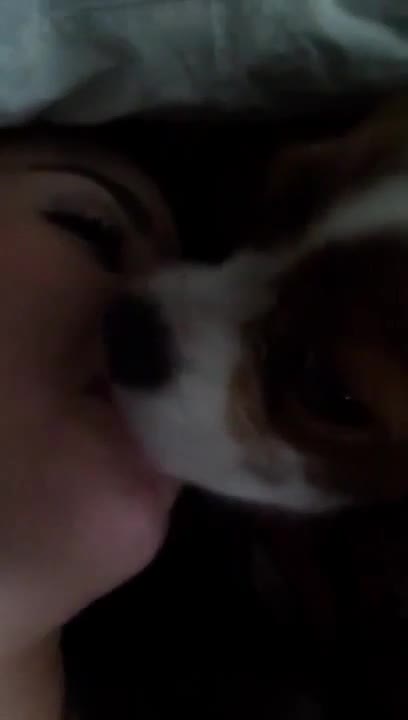Dog makes out with passed out drunk woman
