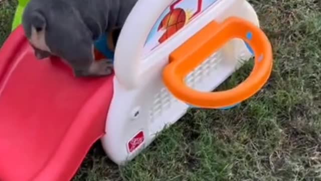 Alas. It's hard to climb a slide. It's time to exercise.