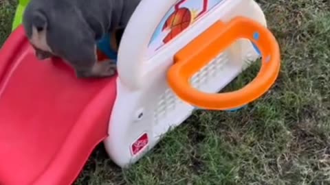 Alas. It's hard to climb a slide. It's time to exercise.