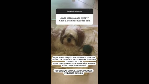 STORIES DA GIZELLY BICALHO 11/08/2024