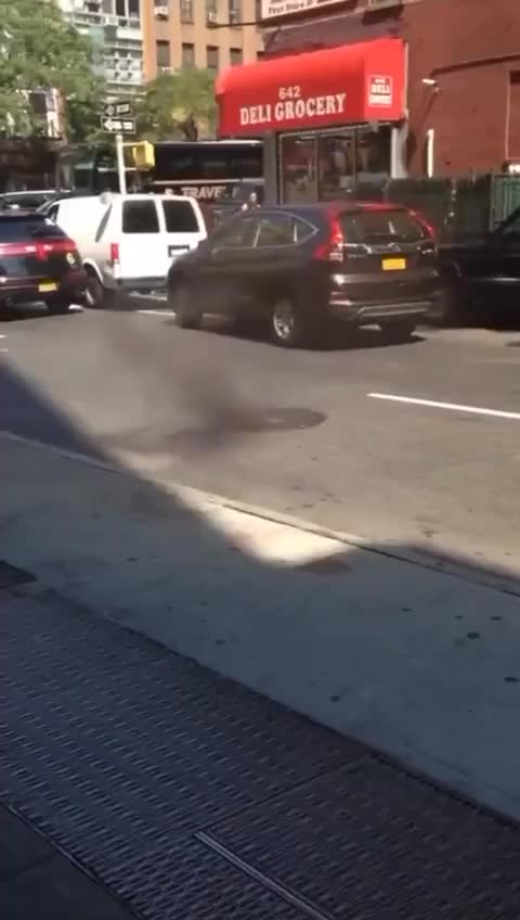 Cleaning the deepstate rats in NY