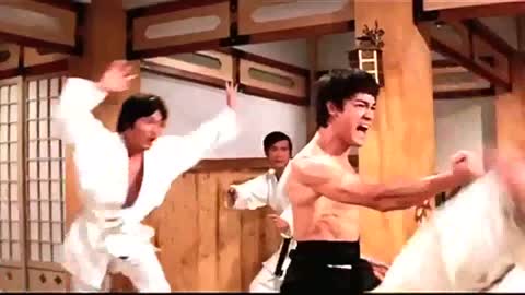 Bruce Lee and Michael Jackson fast as rai[1]