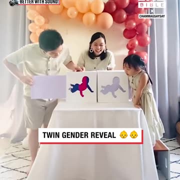 Twin gender reveal