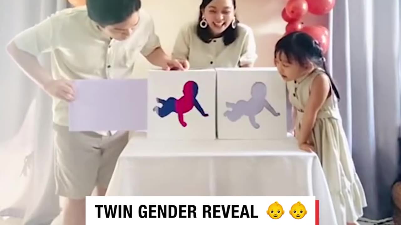 Twin gender reveal