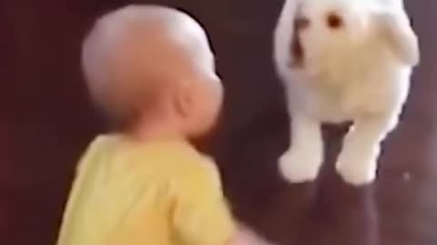 Cute Babies and🐶 Dogs Funny Video 😂Try Not to Laugh Funny Cute Baby 👶Video