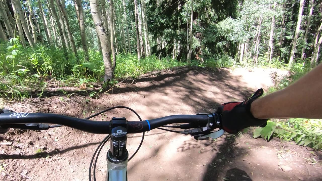 Downhill Biking – Mountain Biking - Crested Butte – Crusader - 08-17-2024