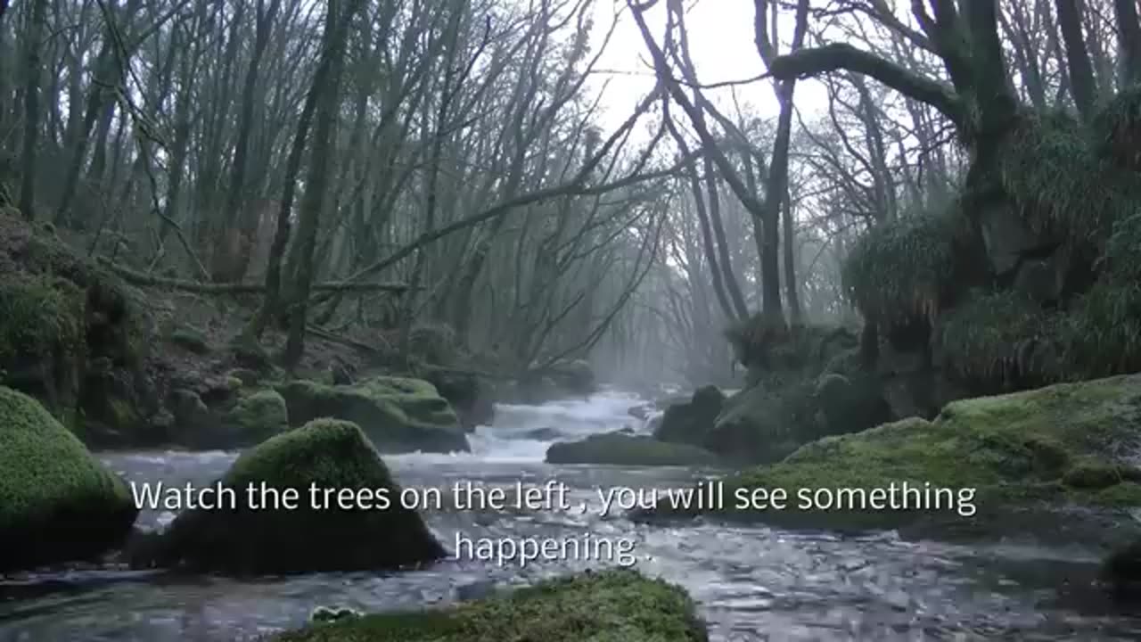 Scottish river ghost caught in daylight 2015
