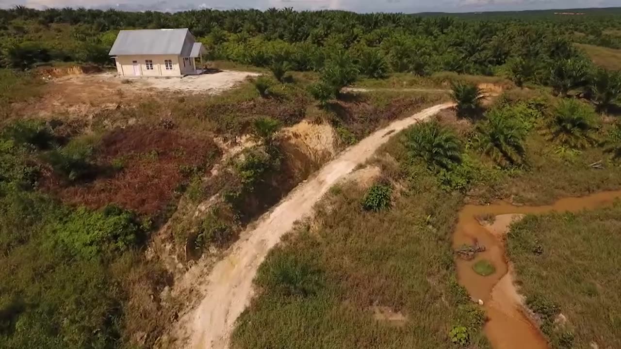 Aceite de palma (2023) Documental