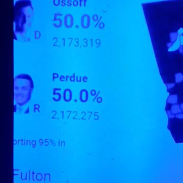 INTERNATIONAL WIDE ELECTION FRAUD VOTING MACHINE CRIME, GEORGIA RUNOFF SHAM ELECTION CRIME 173