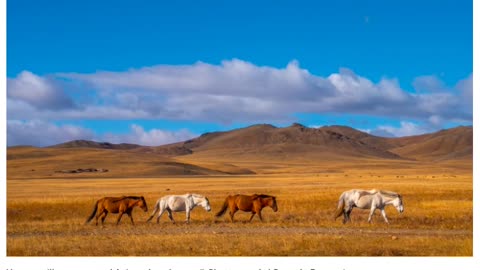 Origin of domestic horses uncovered in Central Asia