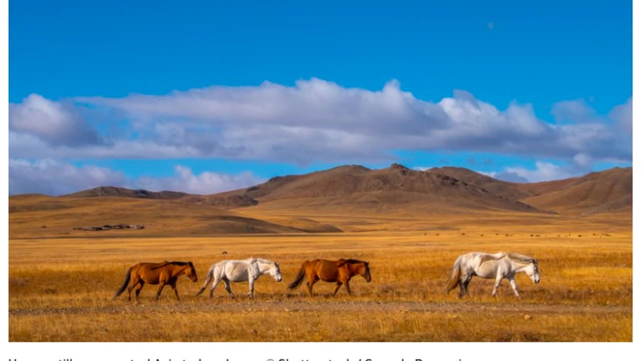 Origin of domestic horses uncovered in Central Asia