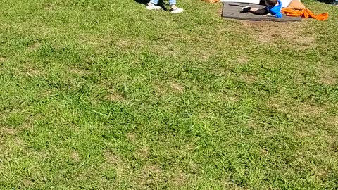Jasper Sliding