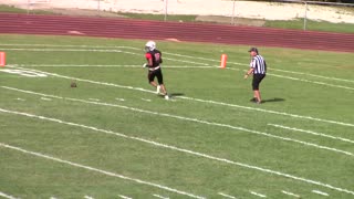 George Johnson PUNTS to the 1-yard line