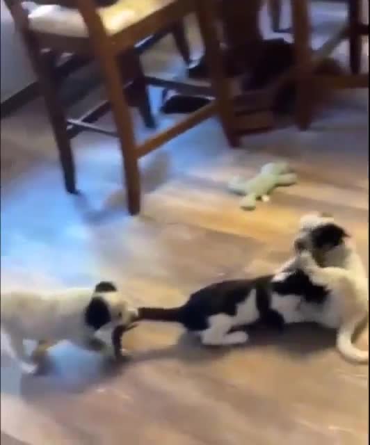 I will not give my own in offense!