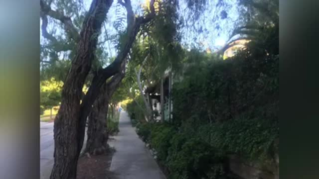 Beautiful San Diego, California #sunsets#photography#Covid#2020#BankersHill#BalboaPark
