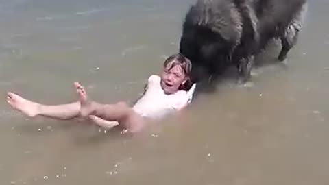 Dog 'Rescues' His Little Girl From The Ocean