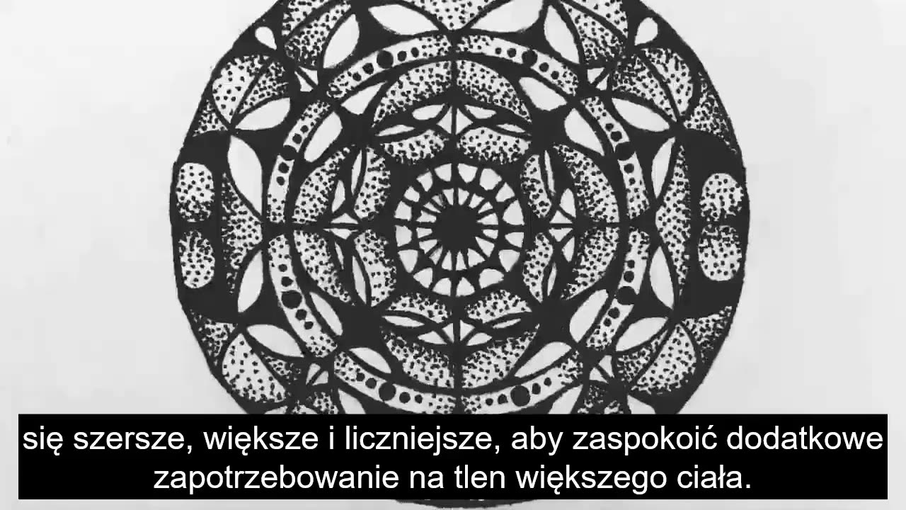 Tlen - Część 4 (Przepływ krwi i krążenie)