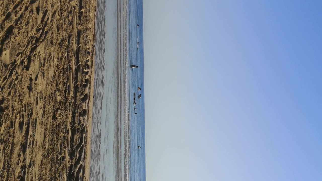 Vasto strand