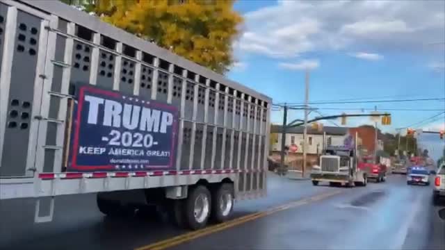 Trump Train Compilation part 4